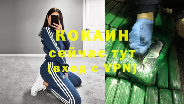 кокс Белокуриха